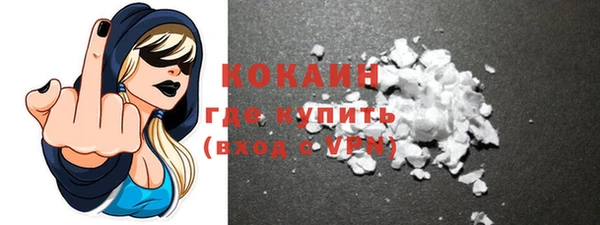 apvp Пестово