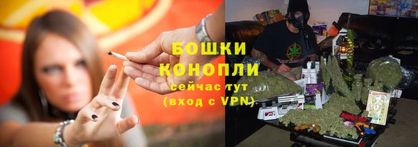 гашик Переславль-Залесский