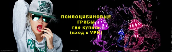 гашик Переславль-Залесский