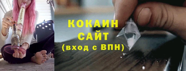 apvp Пестово