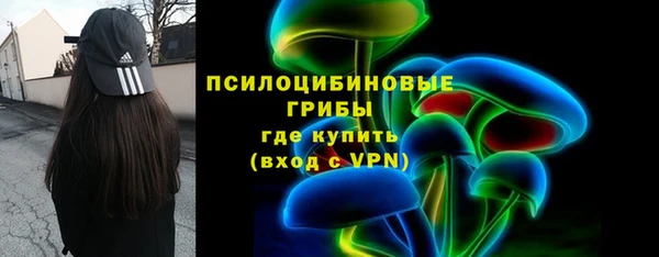 гашик Переславль-Залесский