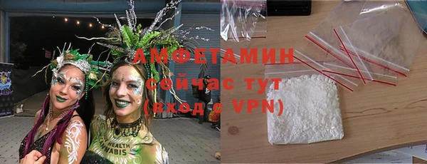 гашик Переславль-Залесский