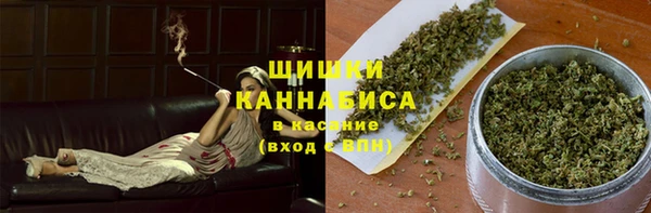apvp Пестово