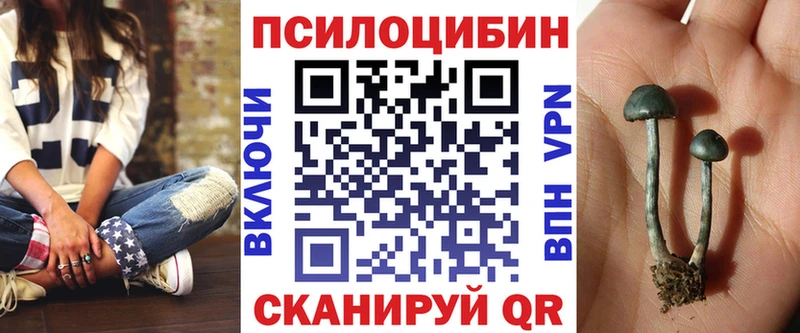 Псилоцибиновые грибы Psilocybine cubensis  как найти закладки  Волгодонск 