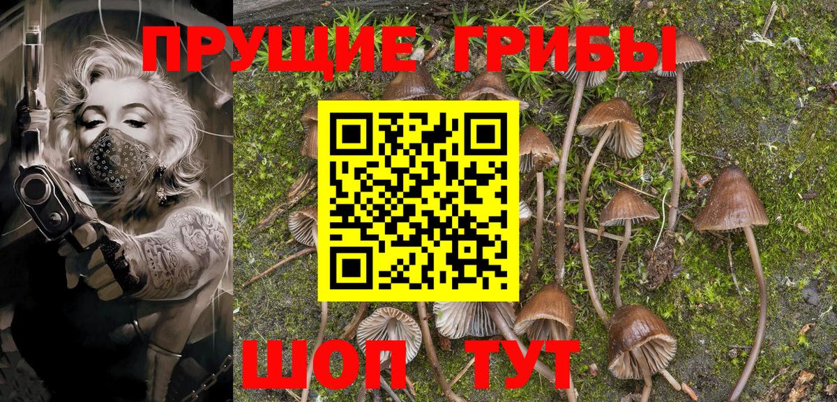 Галлюциногенные грибы мицелий Волгодонск