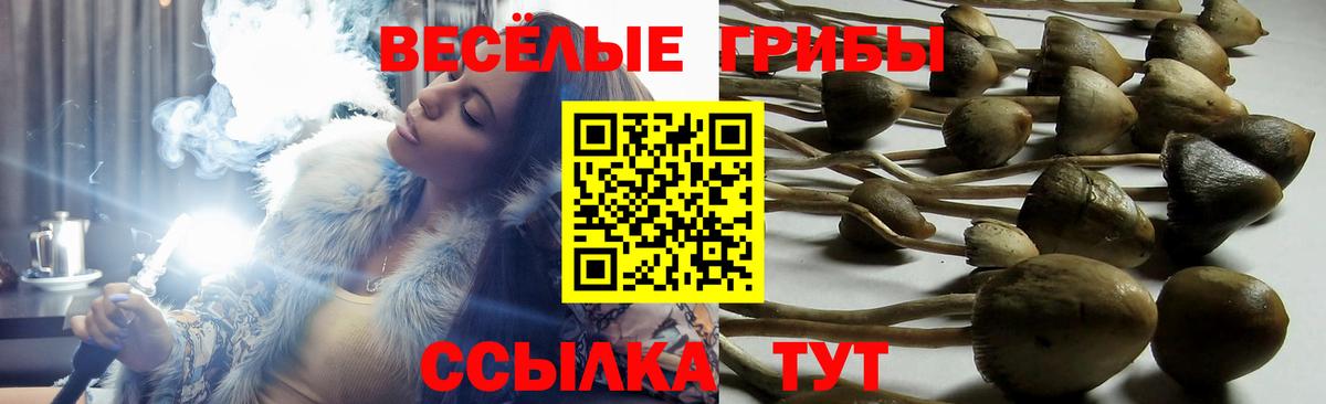 Волгодонск  Галлюциногенные грибы мицелий  Галлюциногенные грибы Cubensis  Вход с VPN 