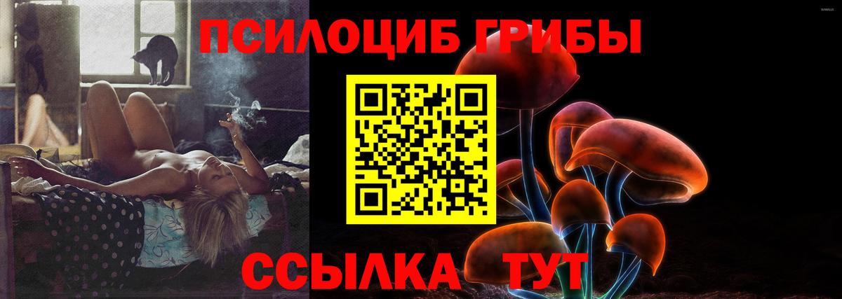 Псилоцибиновые грибы Psilocybe Волгодонск